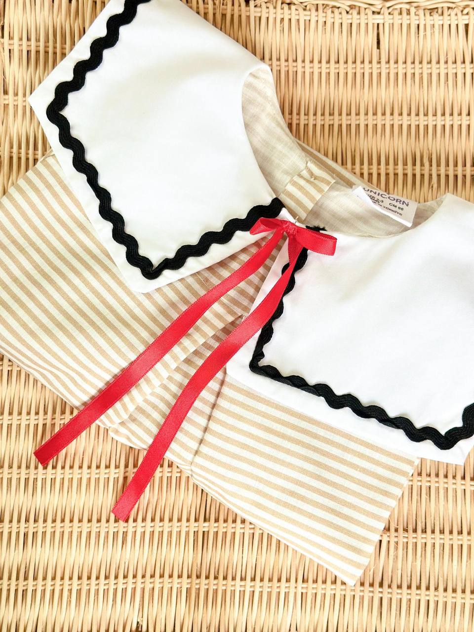 The Little Scholar Dress