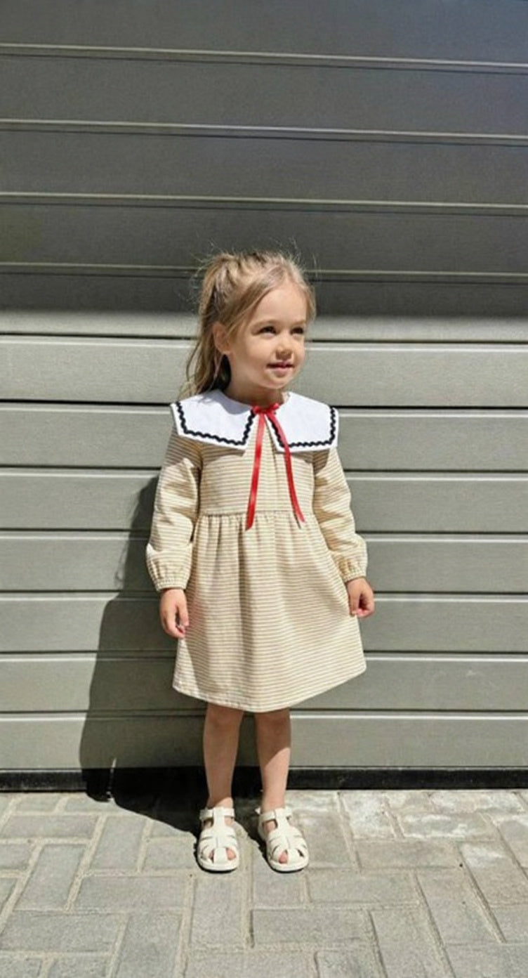 The Little Scholar Dress