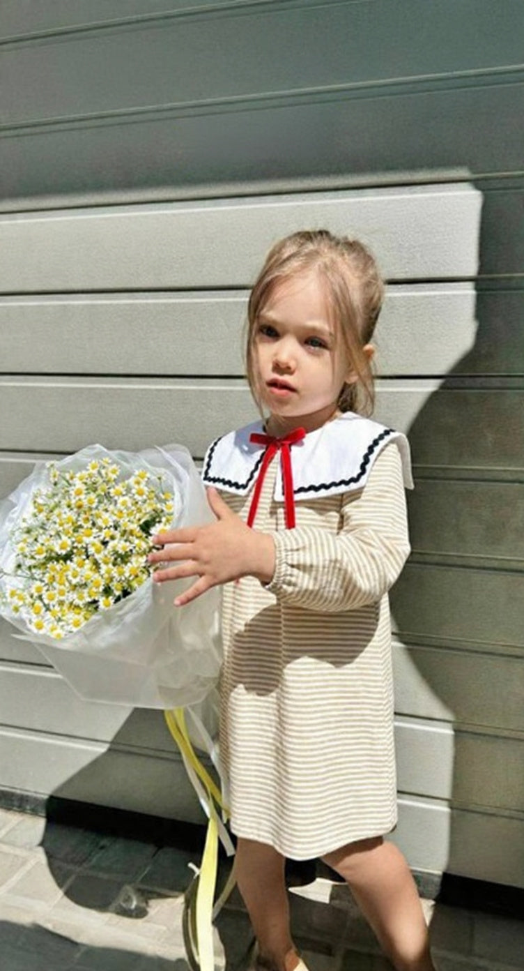 The Little Scholar Dress